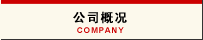 公司概况 COMPANY